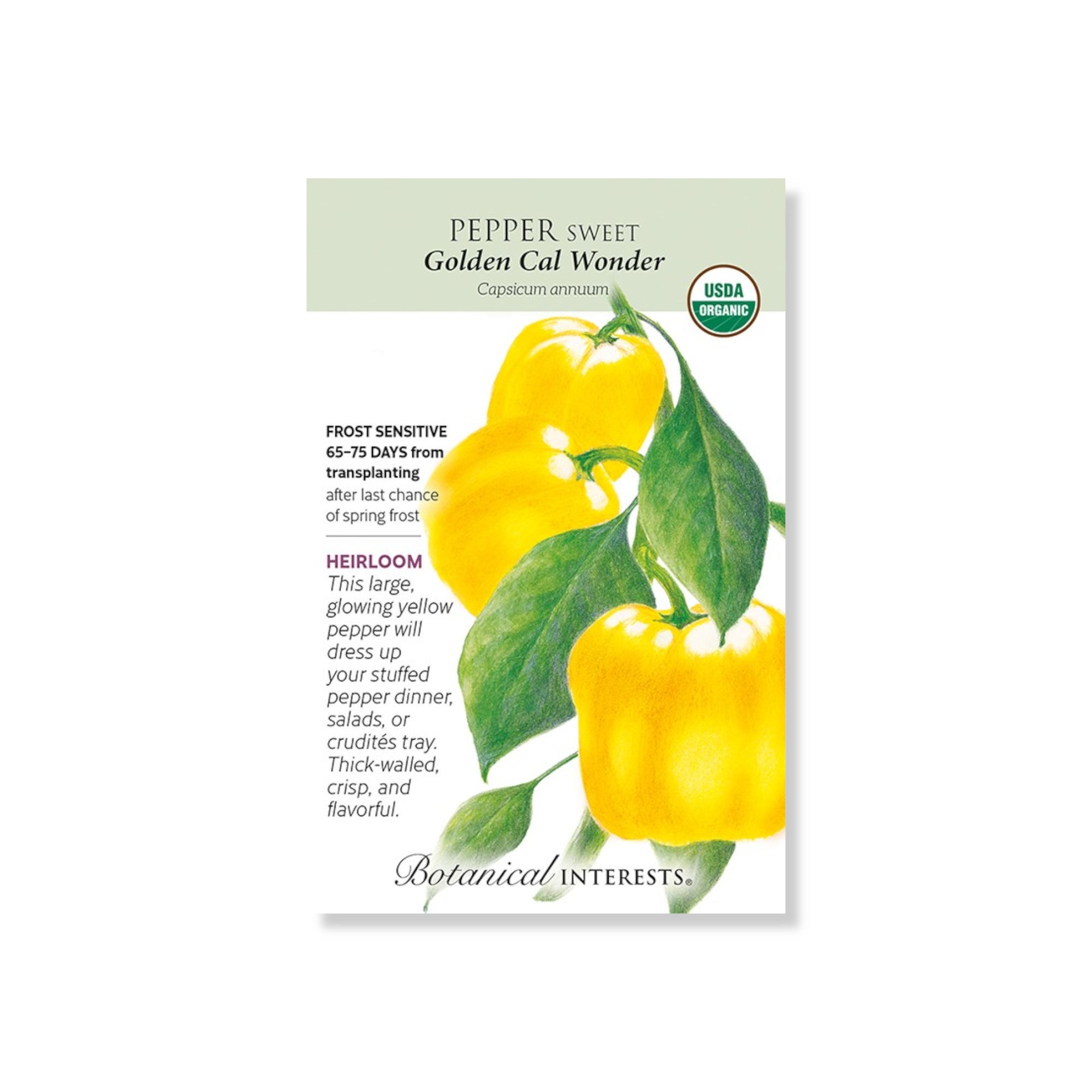 Pepper Sweet Golden Cal Wonder Organic Seeds 20 Seeds (Botanical