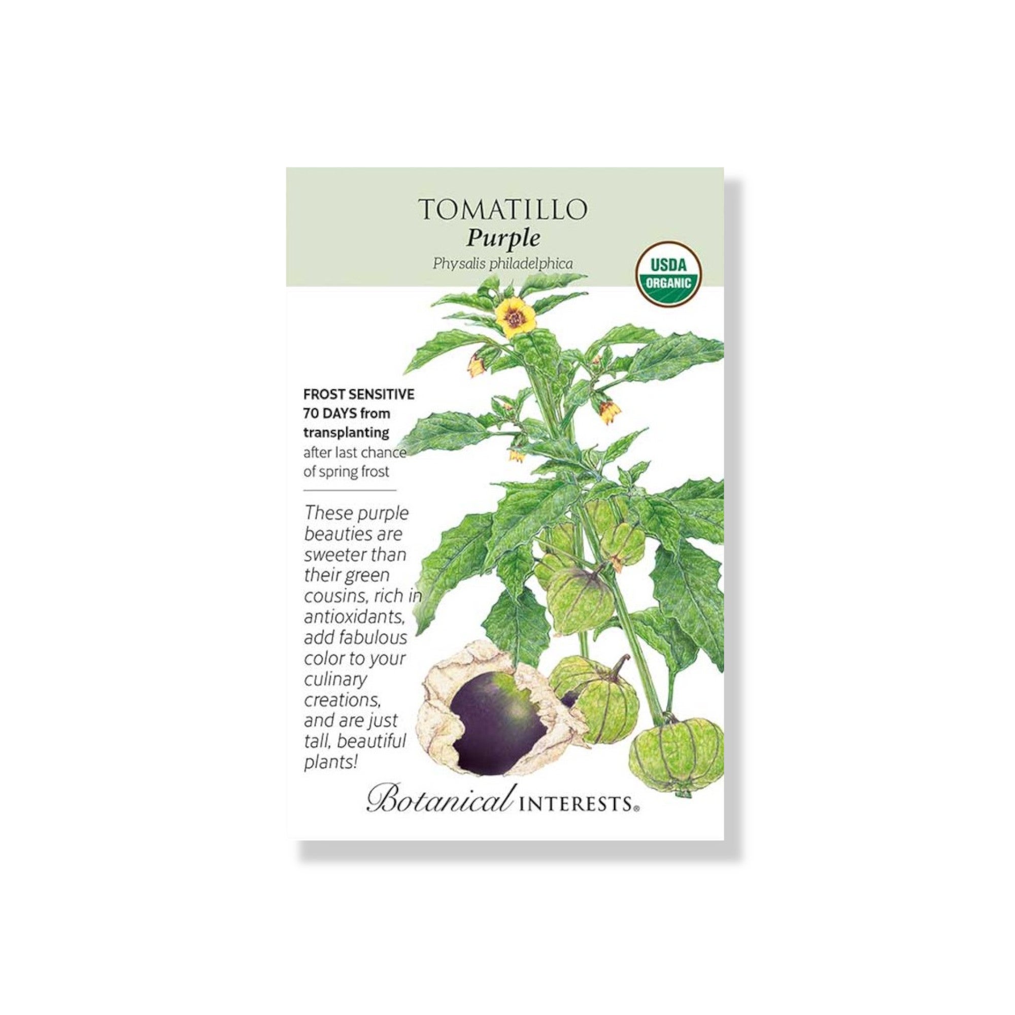 Tomatillo Purple Organic Seeds 150mg Botanical Interests 2025 