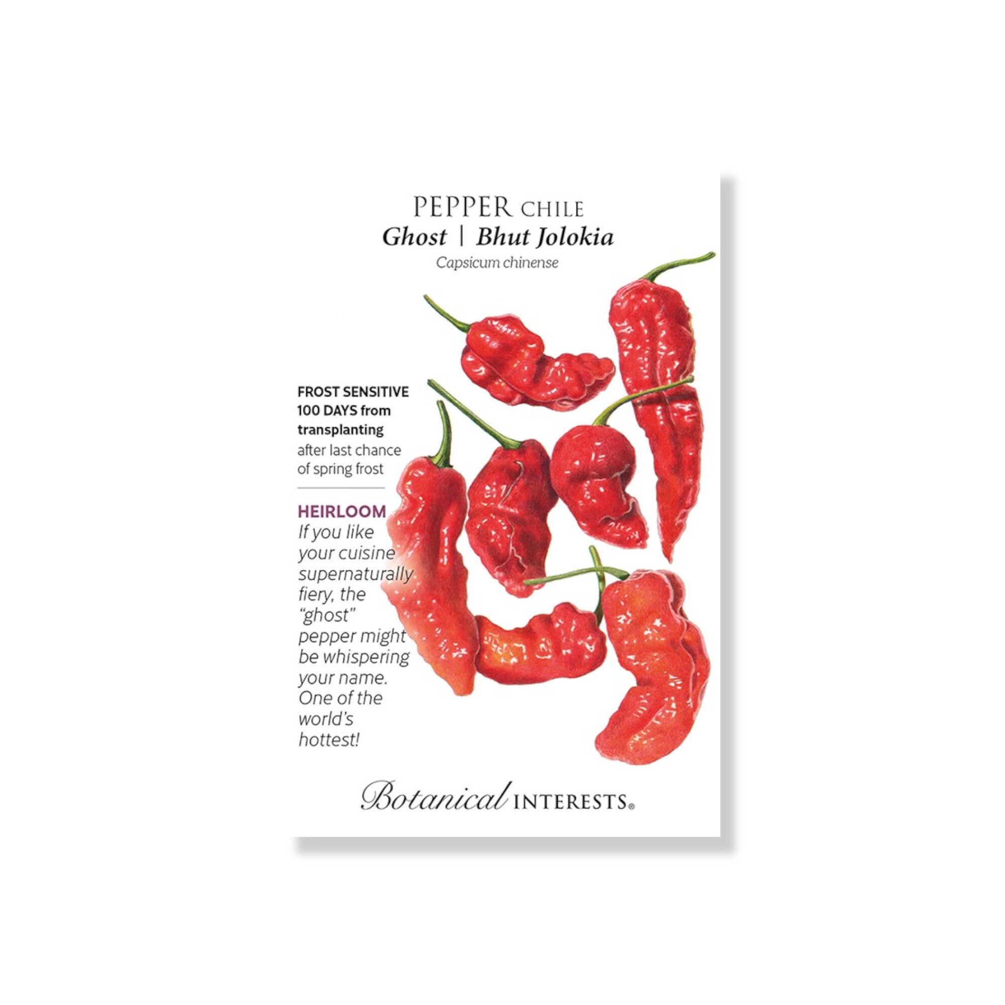 Pepper Chile Ghost Bhut Jolokia 15 Seeds (Botanical Interests 2025 