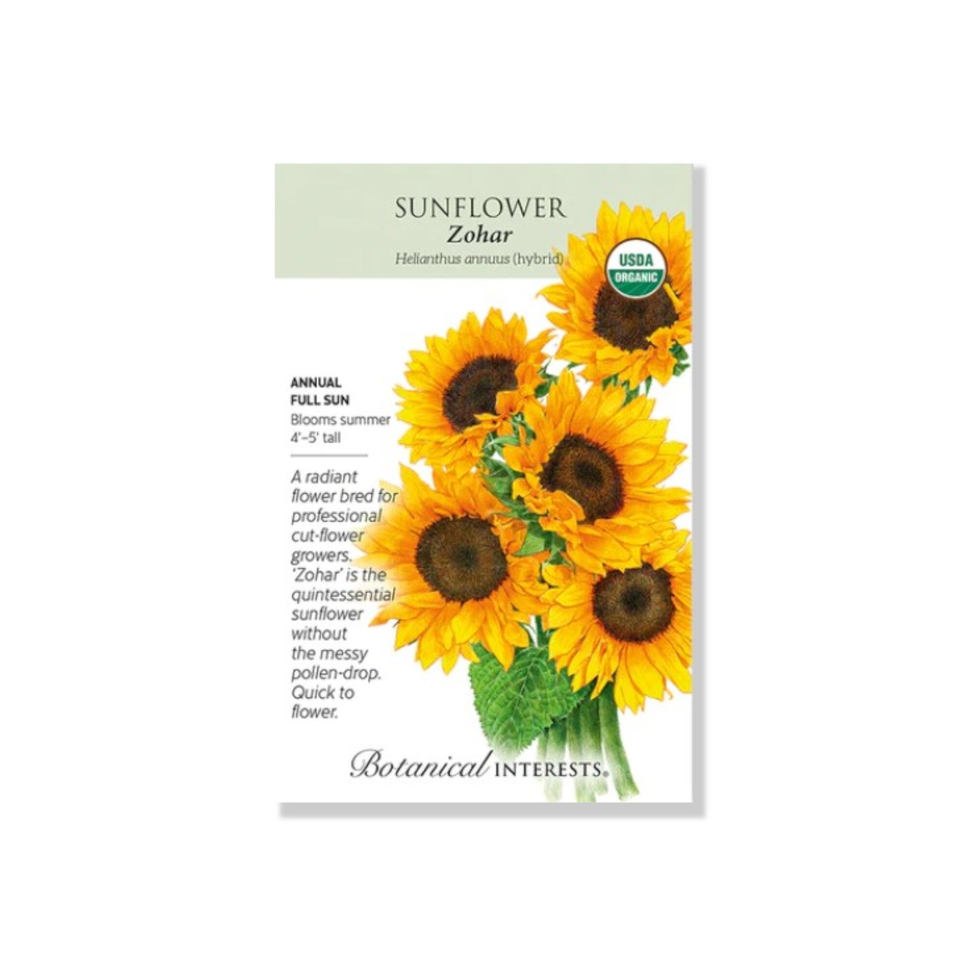Sunflower Zohar Organic 20 Seeds (Botanical Interests 2024) Indian