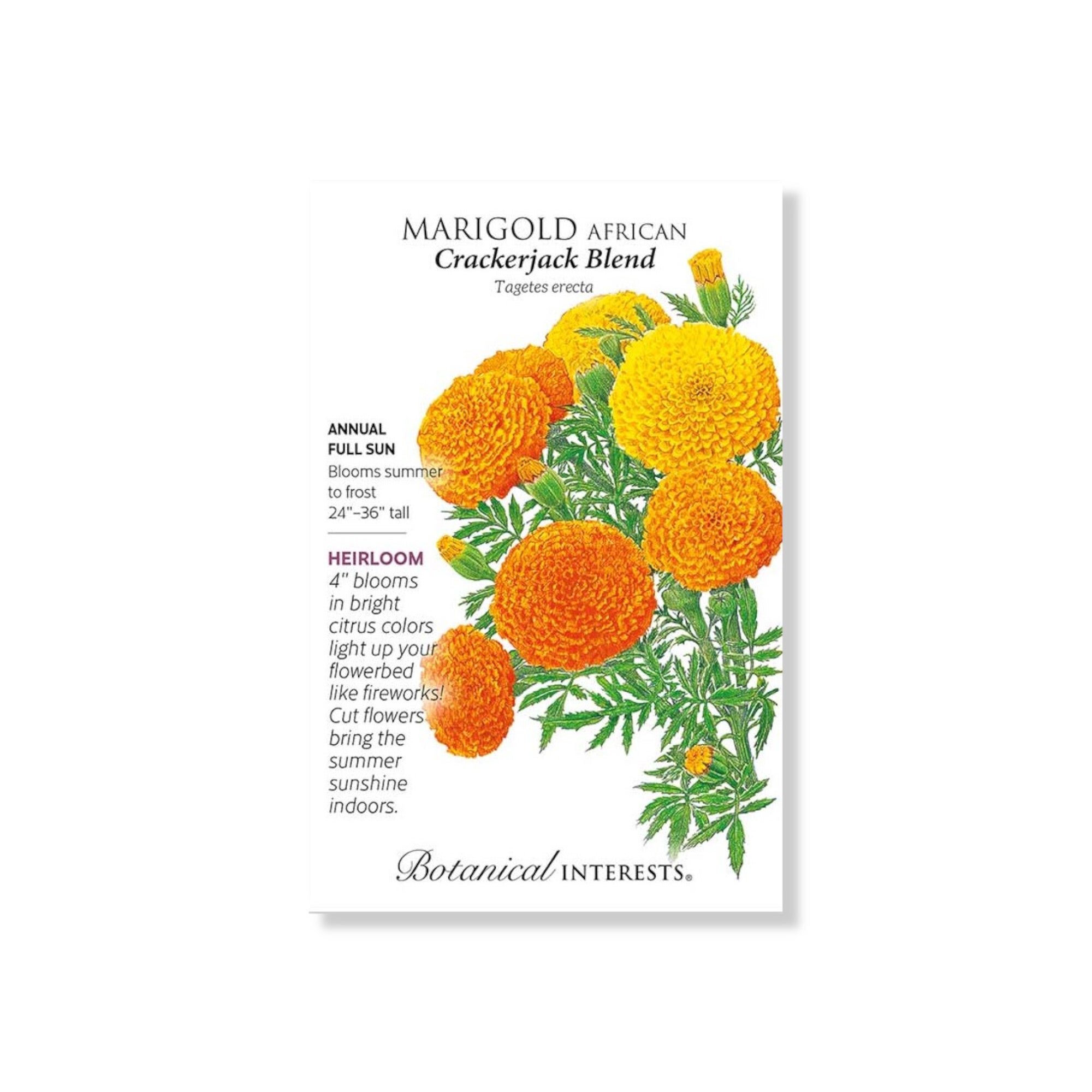 Marigold African Crackerjack Blend Seeds (Botanical Interests) | Indian ...