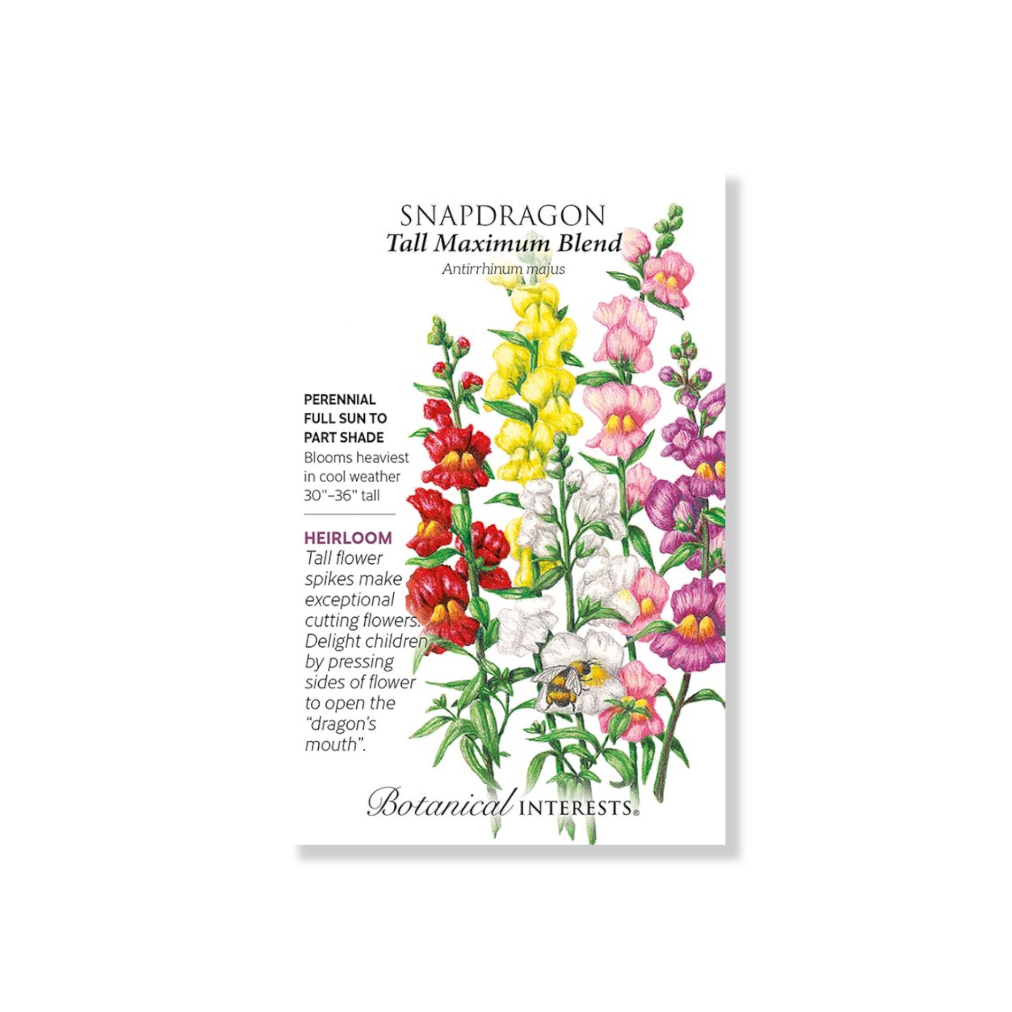 Snapdragon Tall Maximum Blend Seed 400mg (Botanical Interests 2025