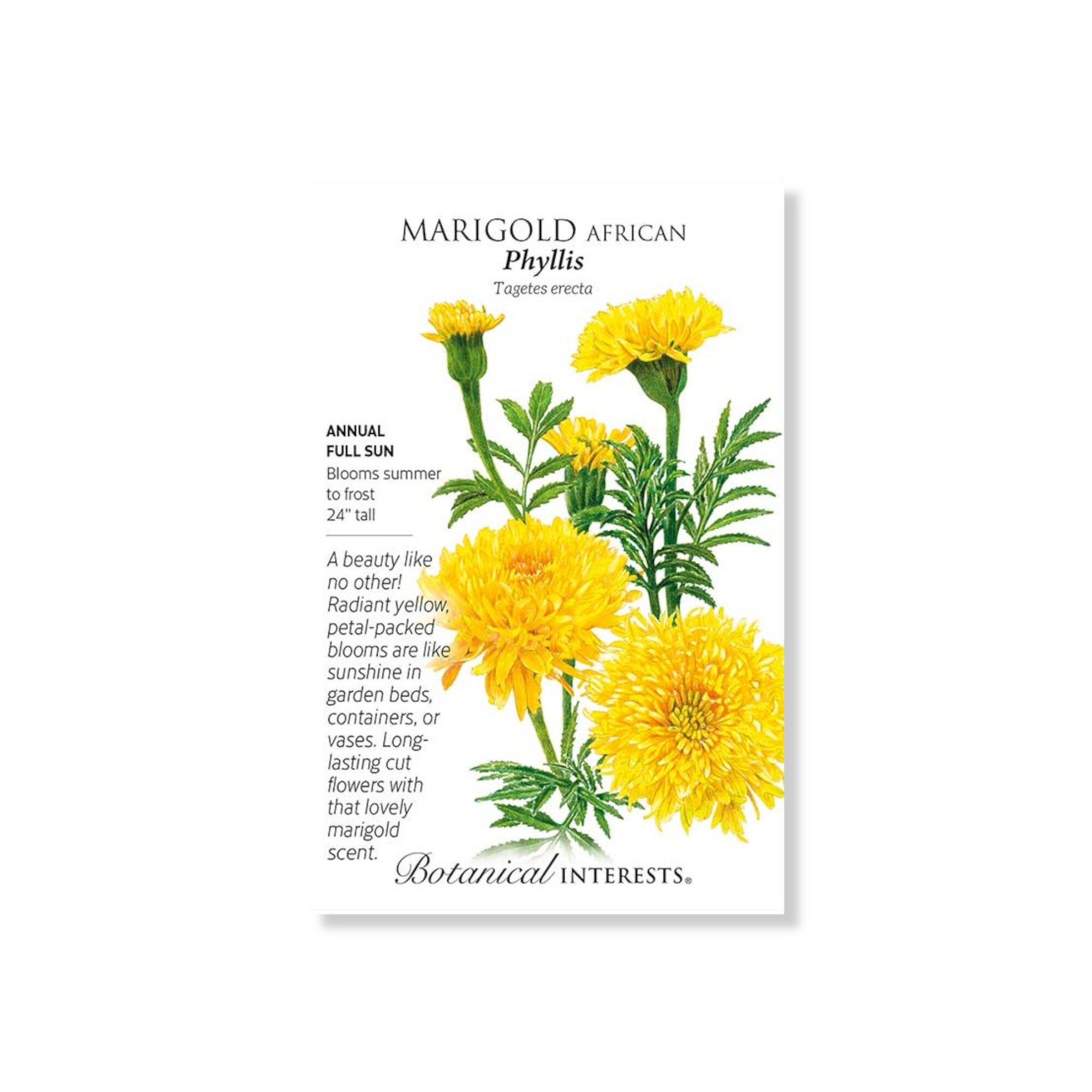 Marigold Phyllis Seeds (Botanical Interests) | Indian Creek Nursery and