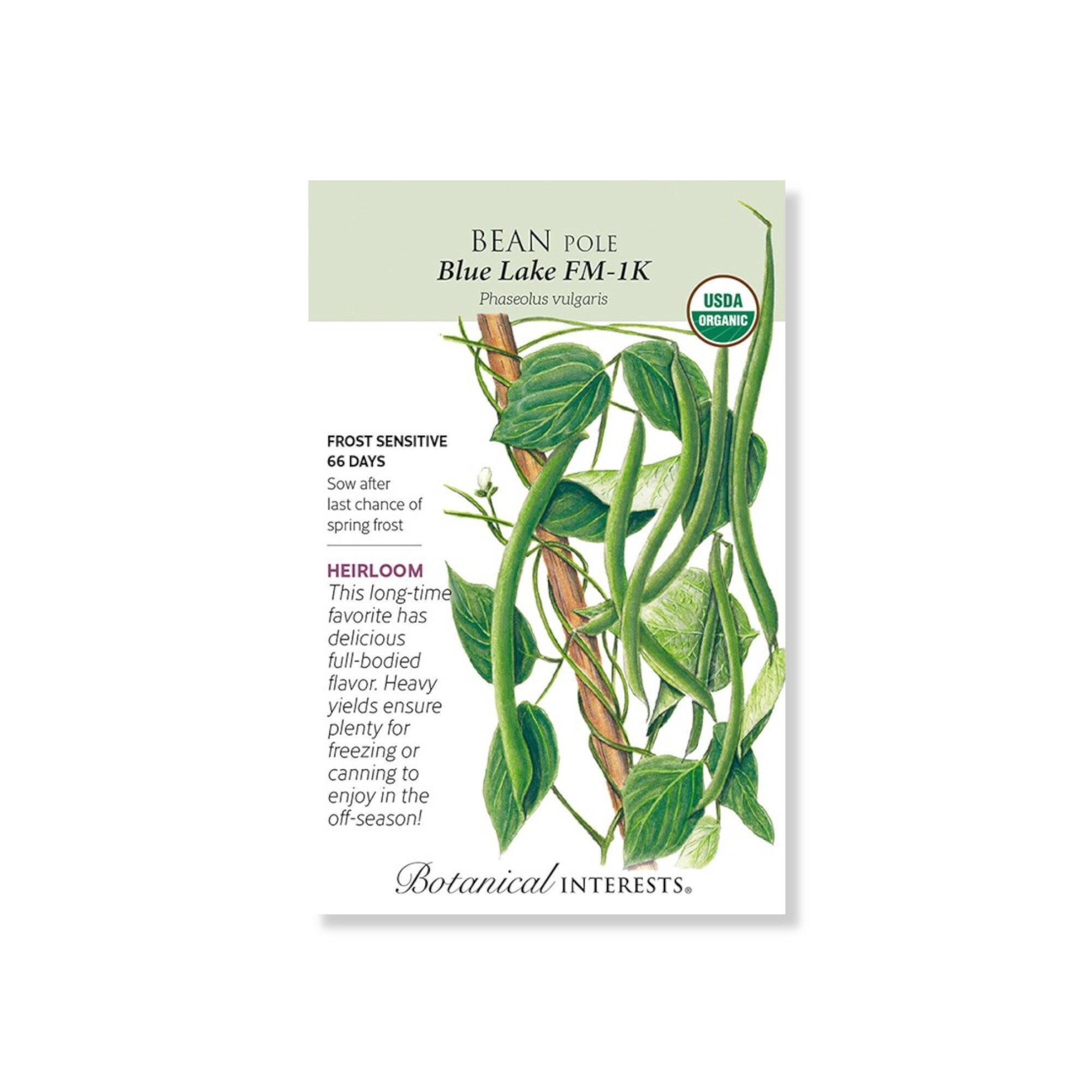 Bean Pole Blue Lake FM-1K Organic Seed 15g (Botanical Interests 2025