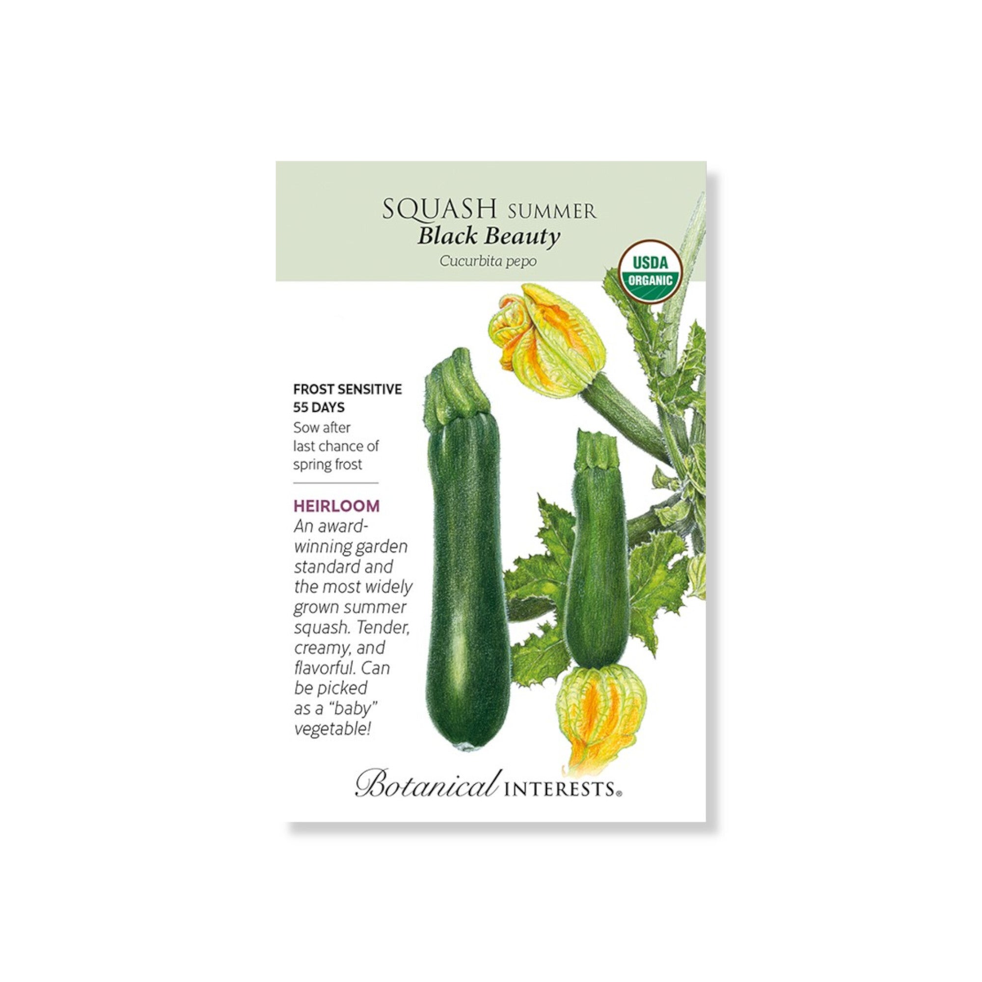 Squash Summer Black Beauty Seeds (Botanical Interests) Indian Creek