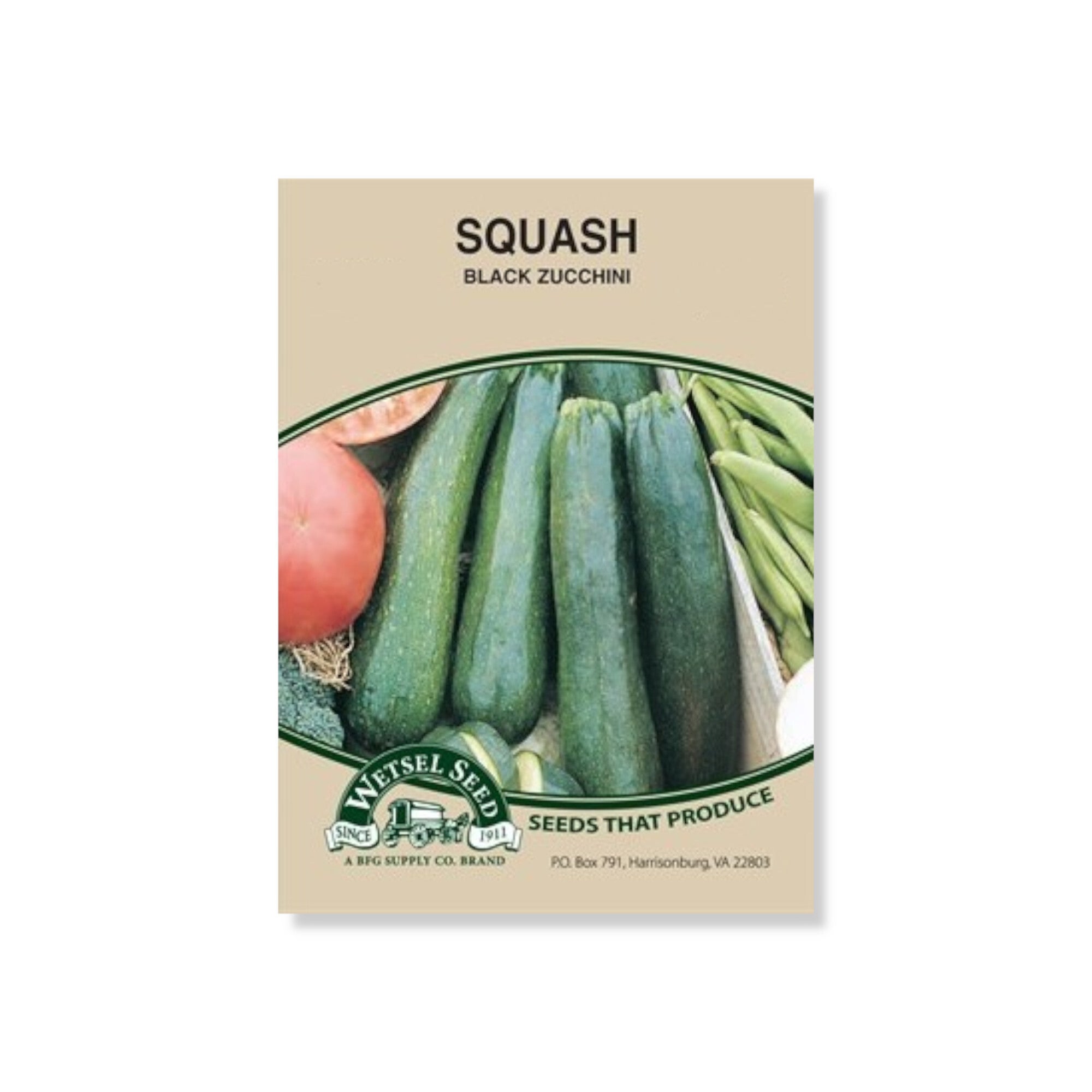 Squash Black Zucchini Seeds (Wetsel) Indian Creek Nursery and Garden